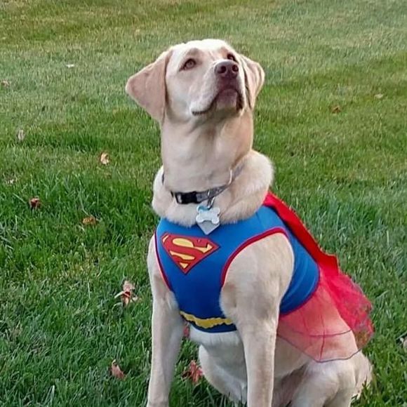 Meet your Posher, Denny - Picture 1 of 1